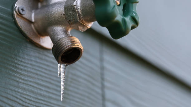 Best Affordable Plumbing Services  in West Samoset, FL